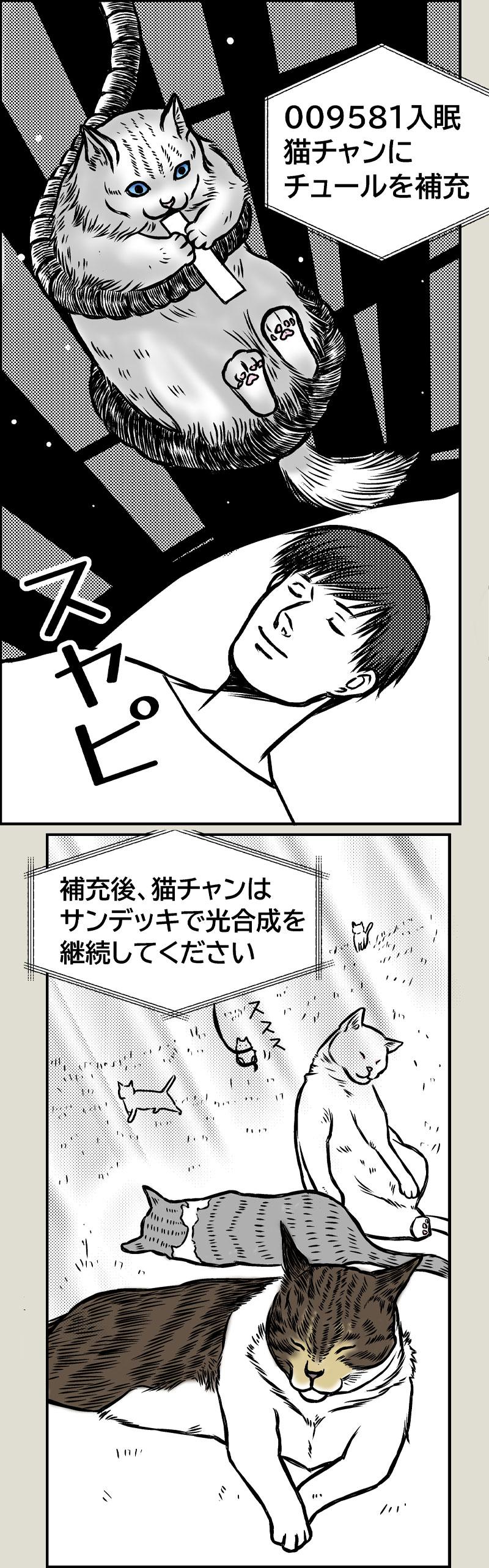 猫SF