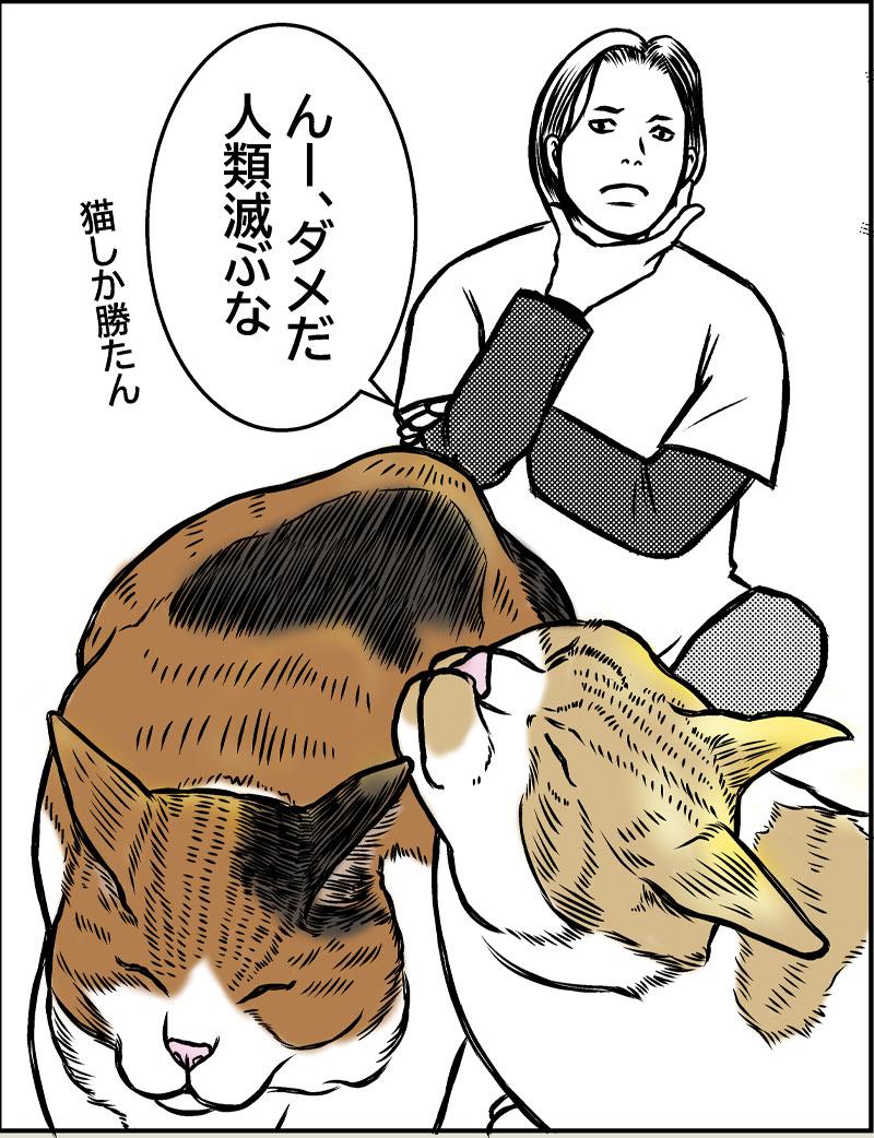 猫SF