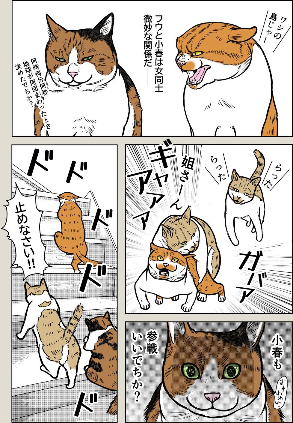 ブラック小春