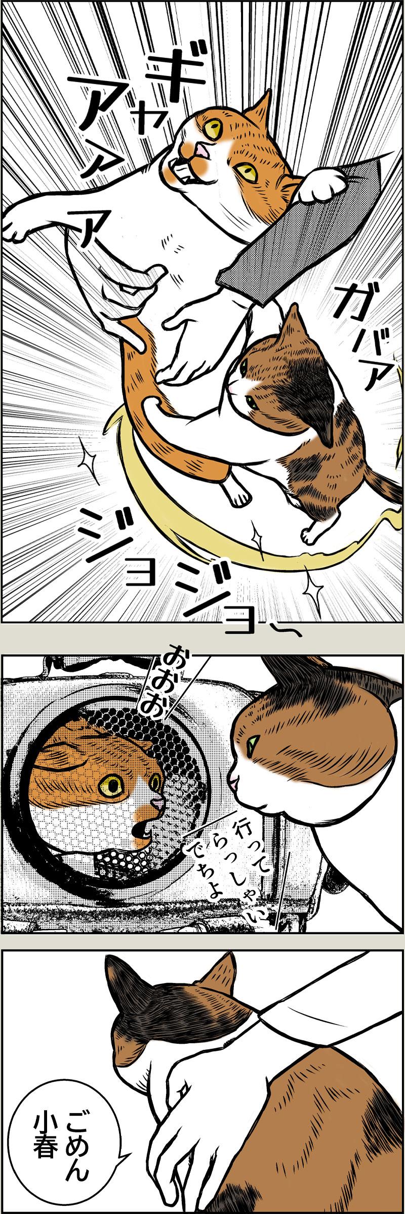 ブラック小春