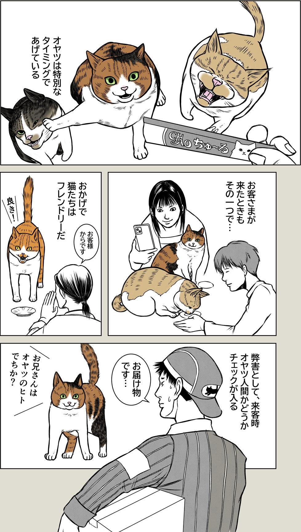 ハムの人