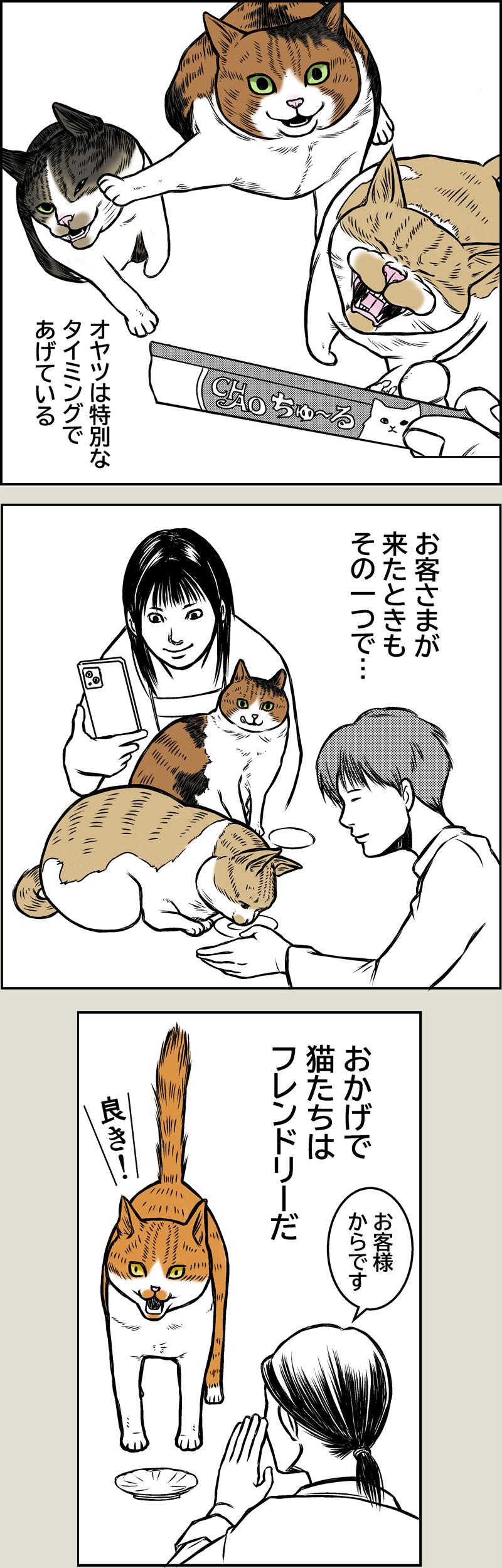 ハムの人