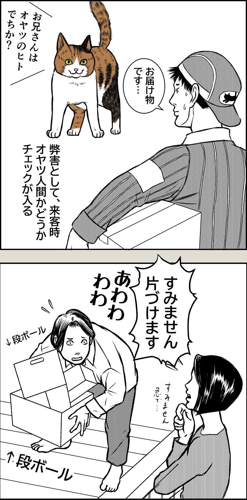 ハムの人