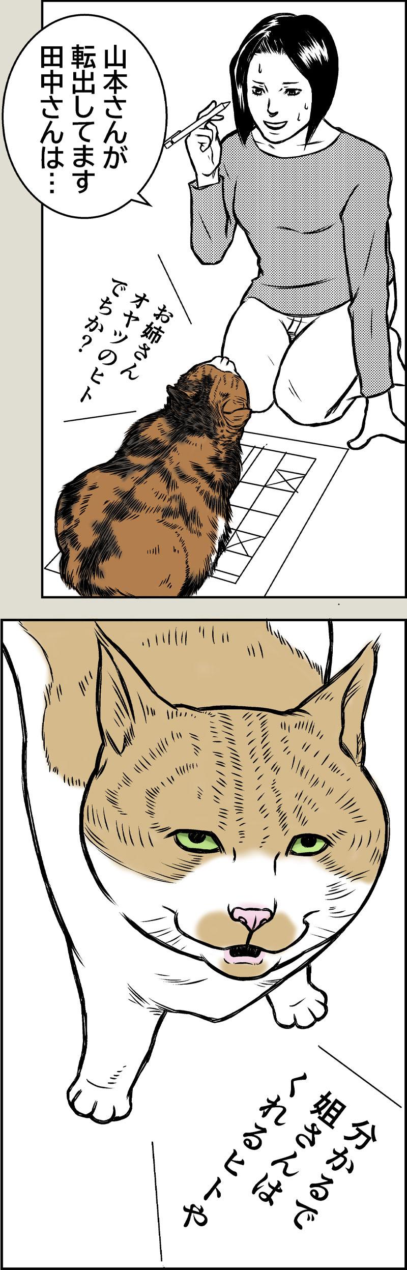 ハムの人