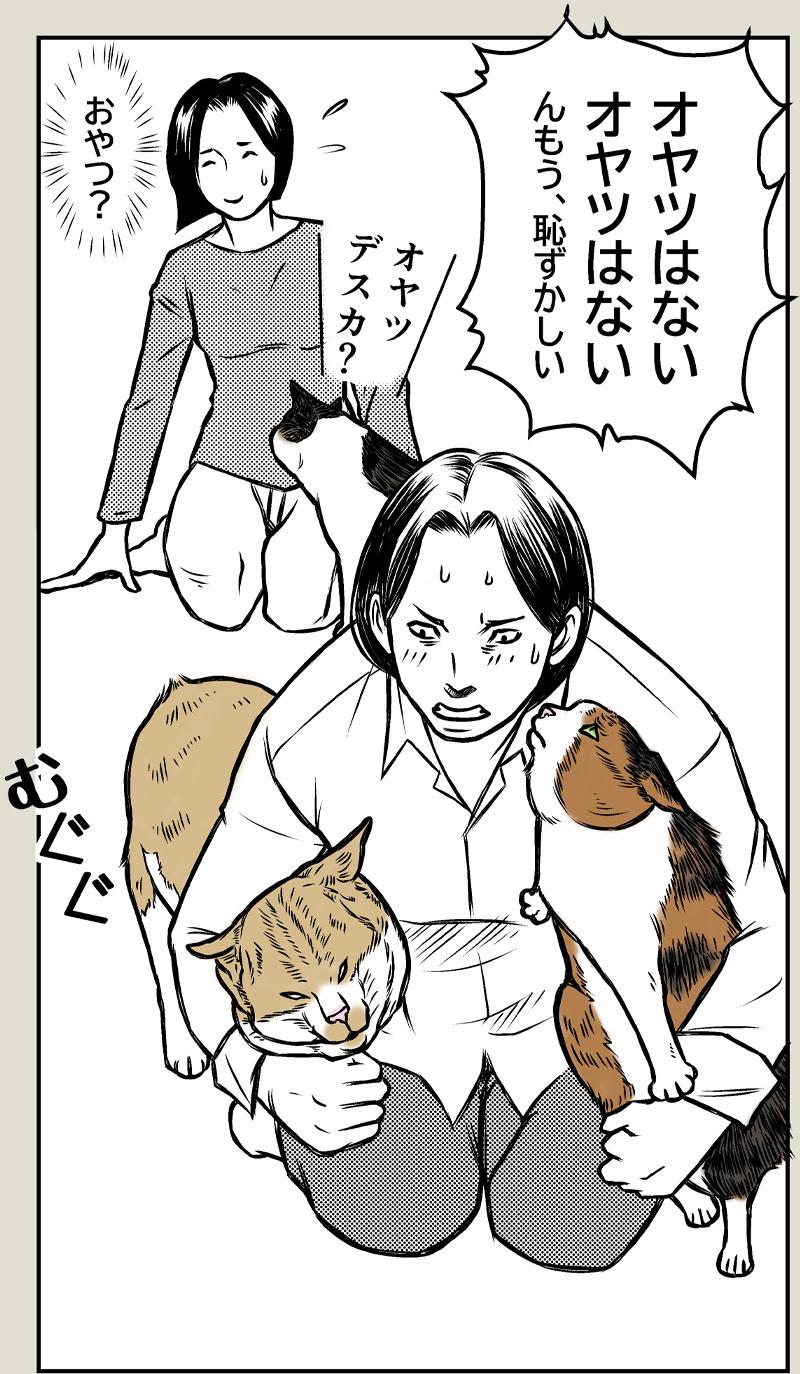 ハムの人
