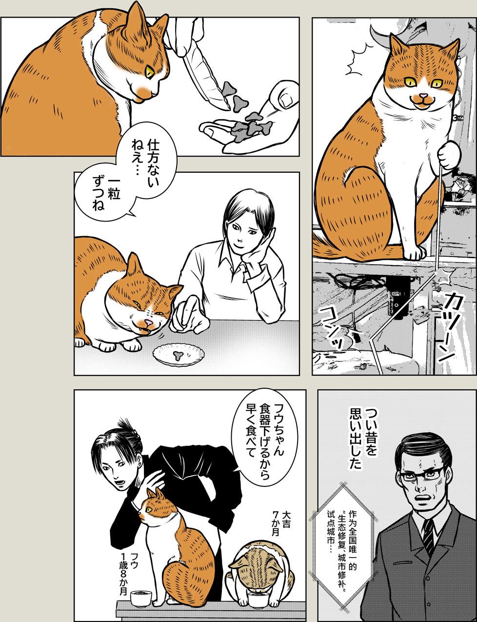 懐かしき日々