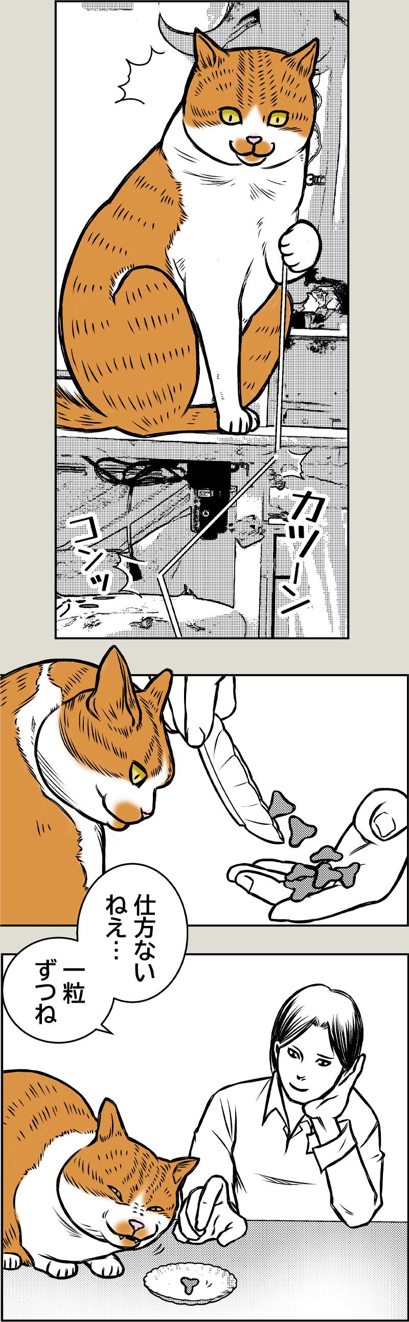 懐かしき日々