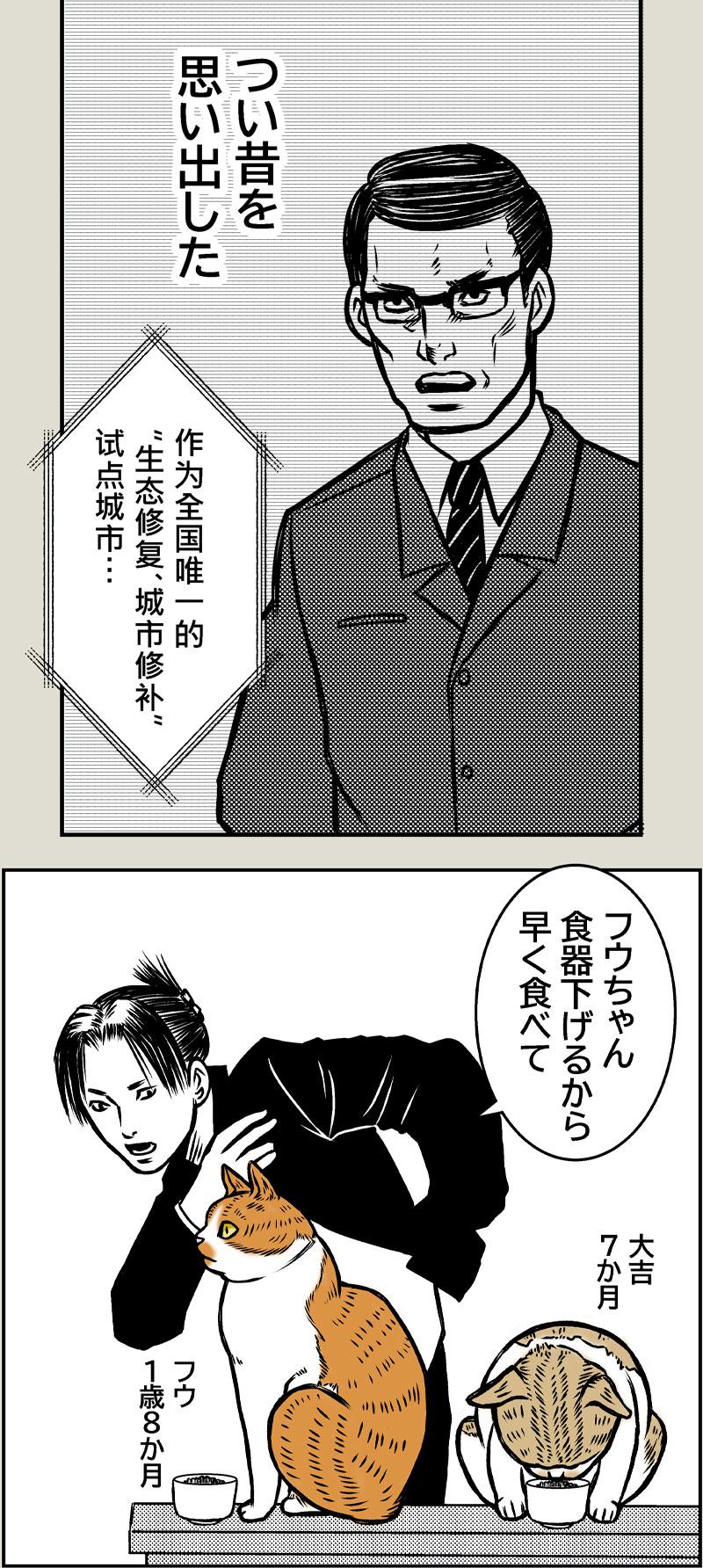 懐かしき日々