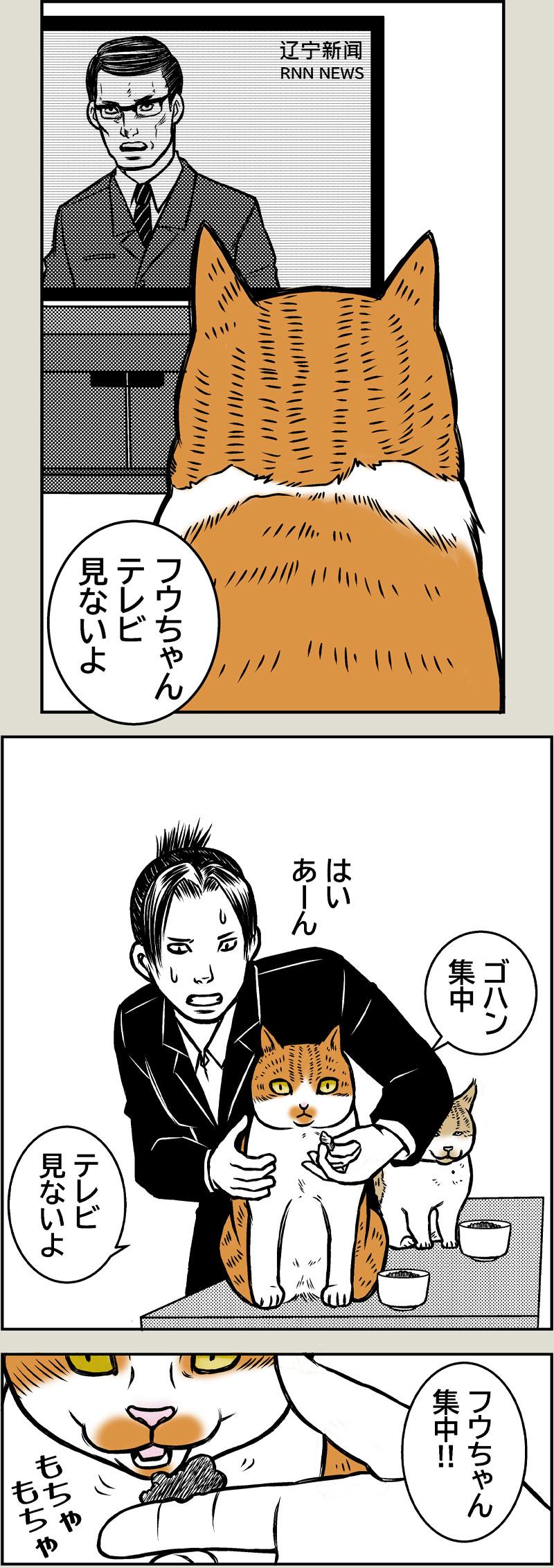 懐かしき日々