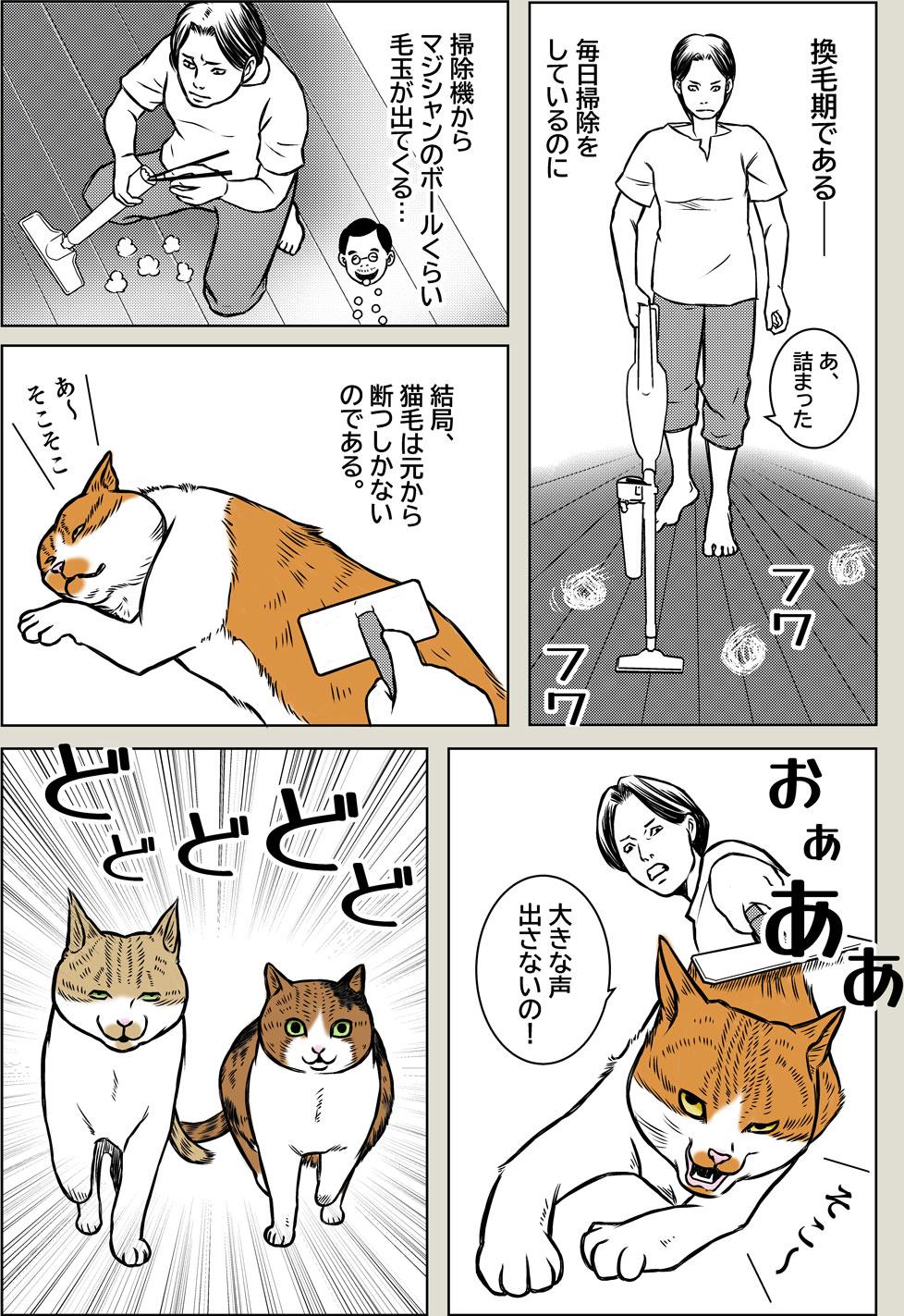 毛玉は体を表す