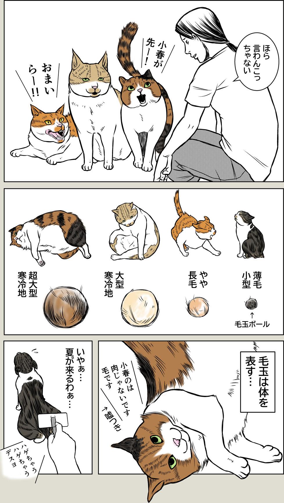 毛玉は体を表す