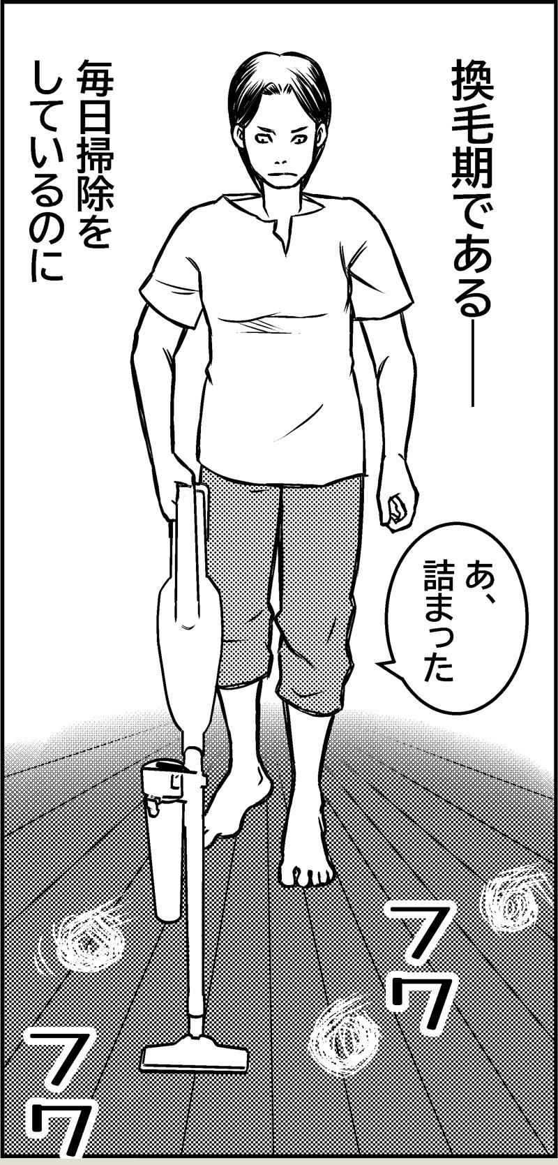 毛玉は体を表す