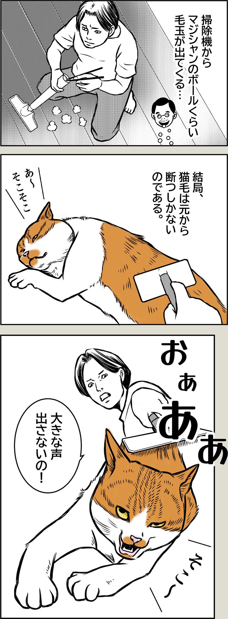 毛玉は体を表す