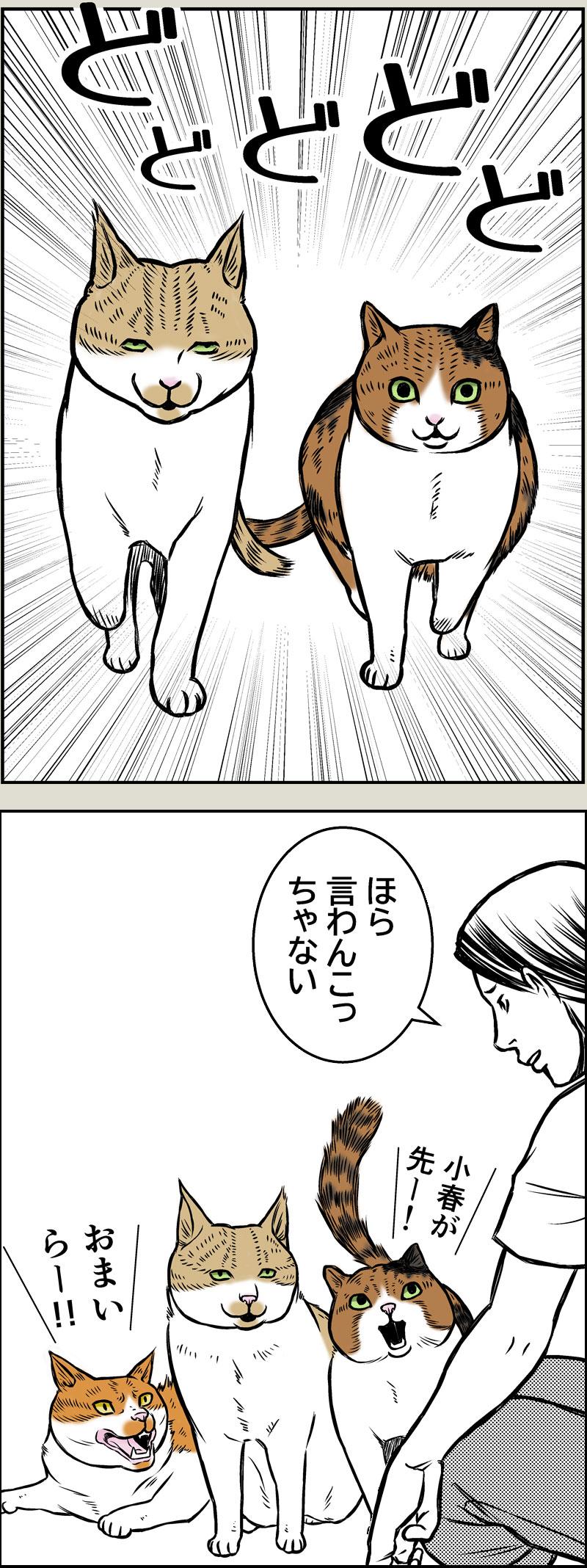 毛玉は体を表す