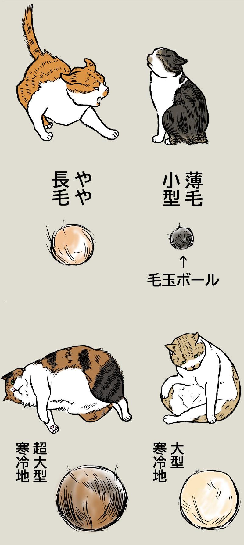 毛玉は体を表す