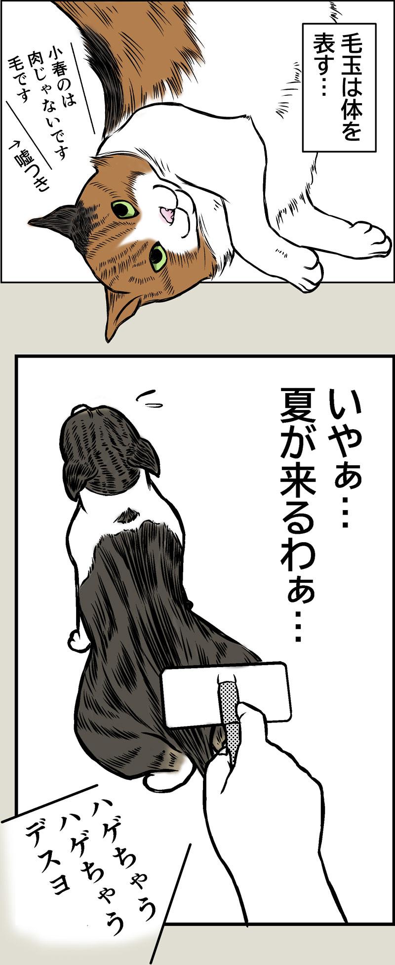 毛玉は体を表す
