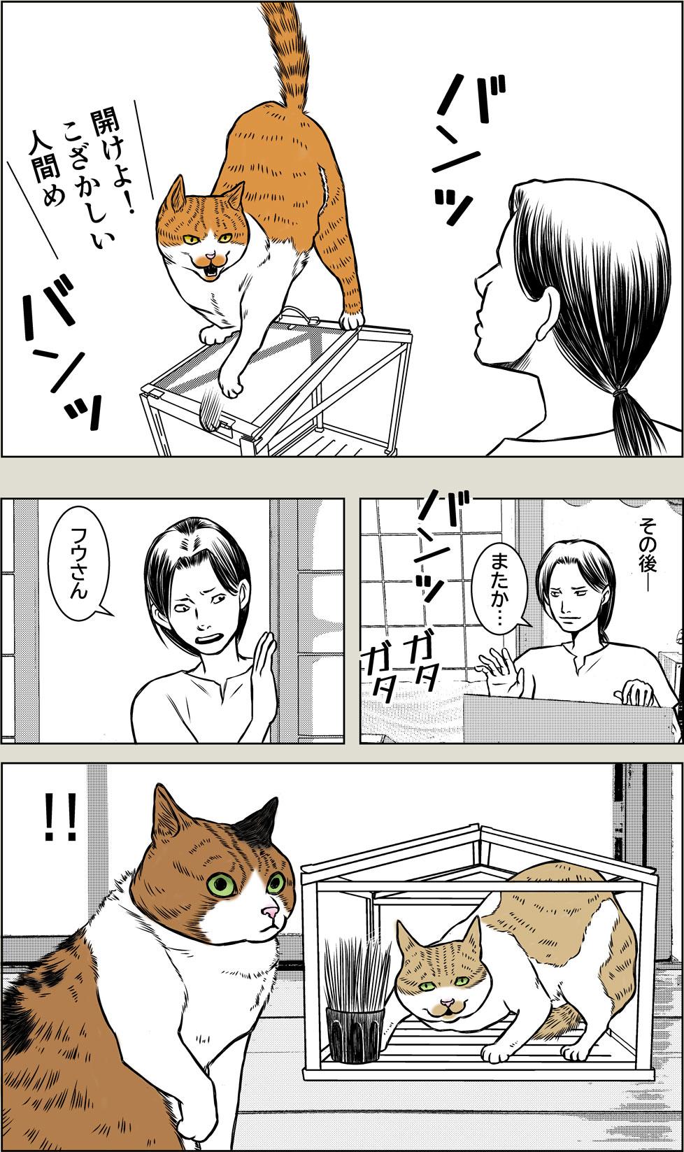 猫草はじめました