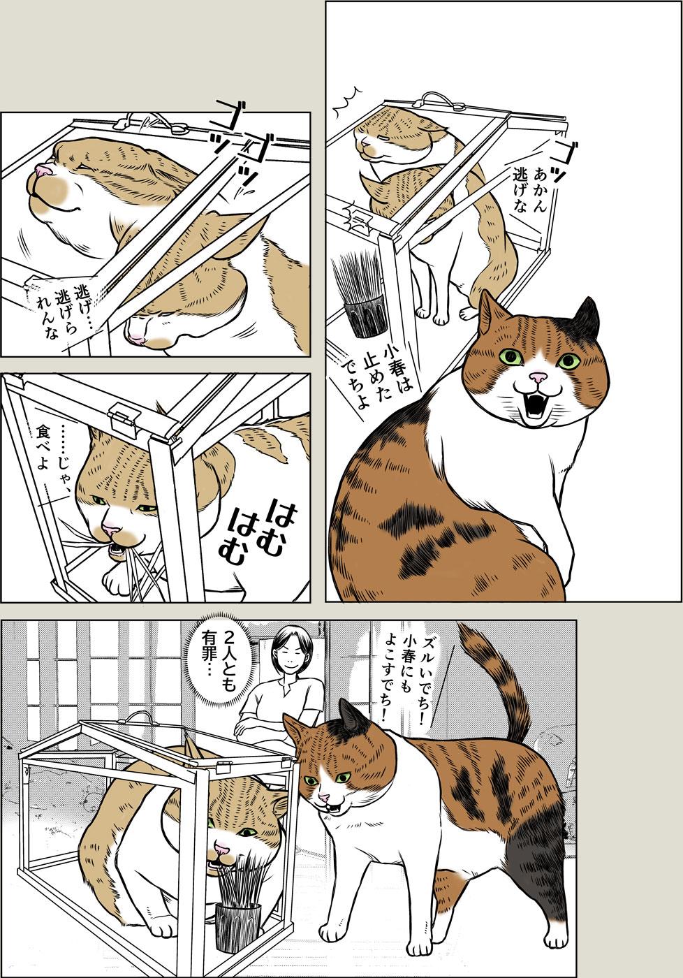 猫草はじめました
