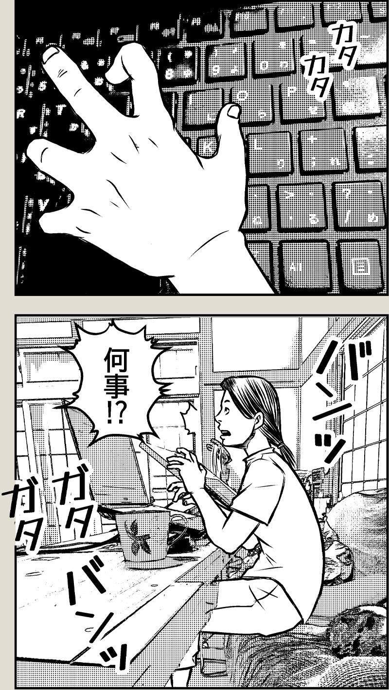 猫草はじめました