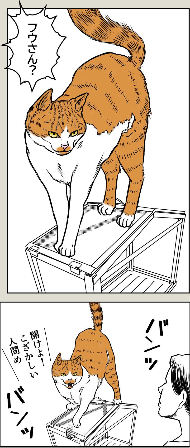 猫草はじめました