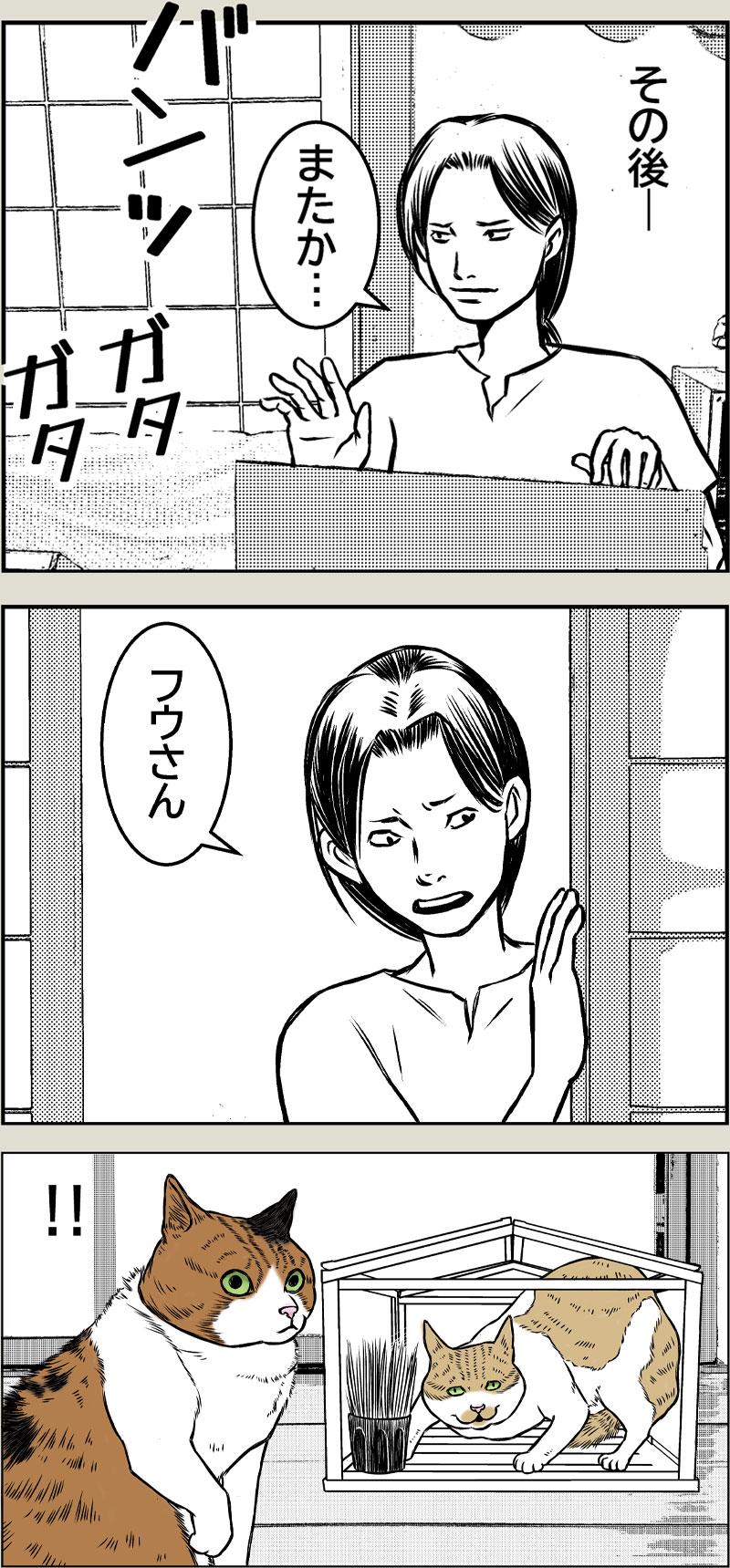 猫草はじめました