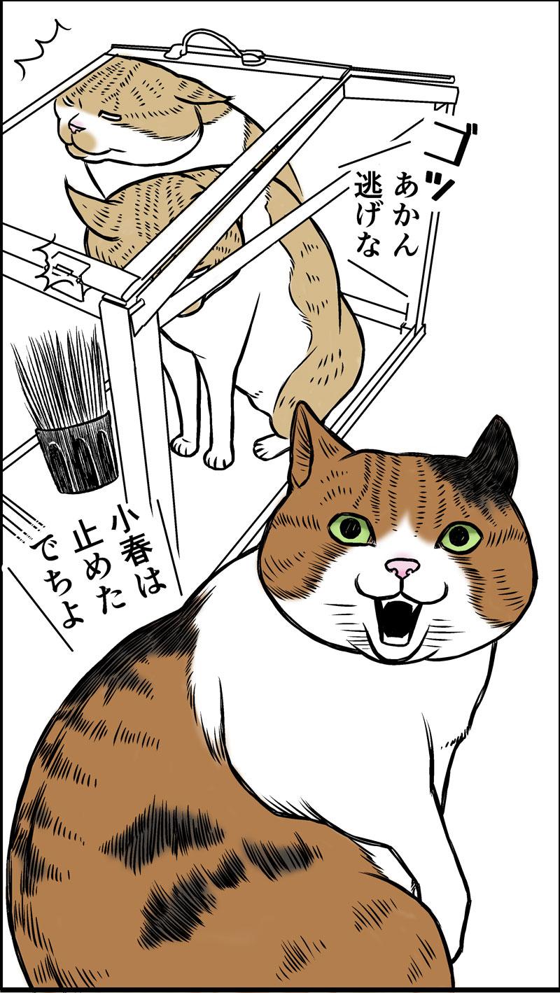 猫草はじめました