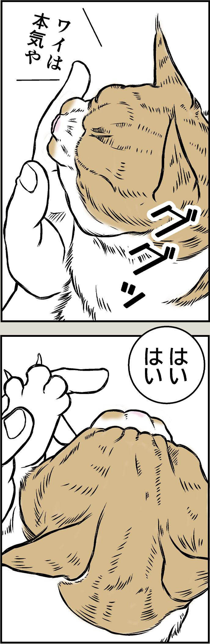 大吉、反抗期