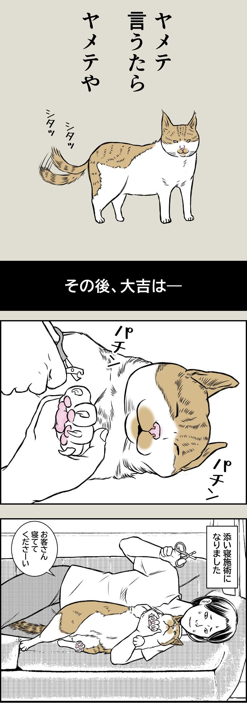 大吉、反抗期