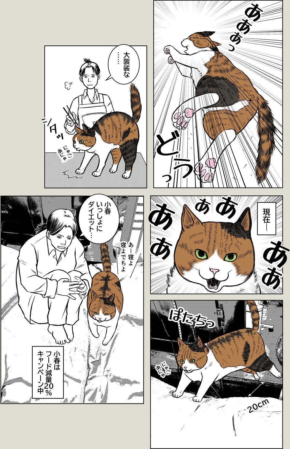 小春の癖 前編