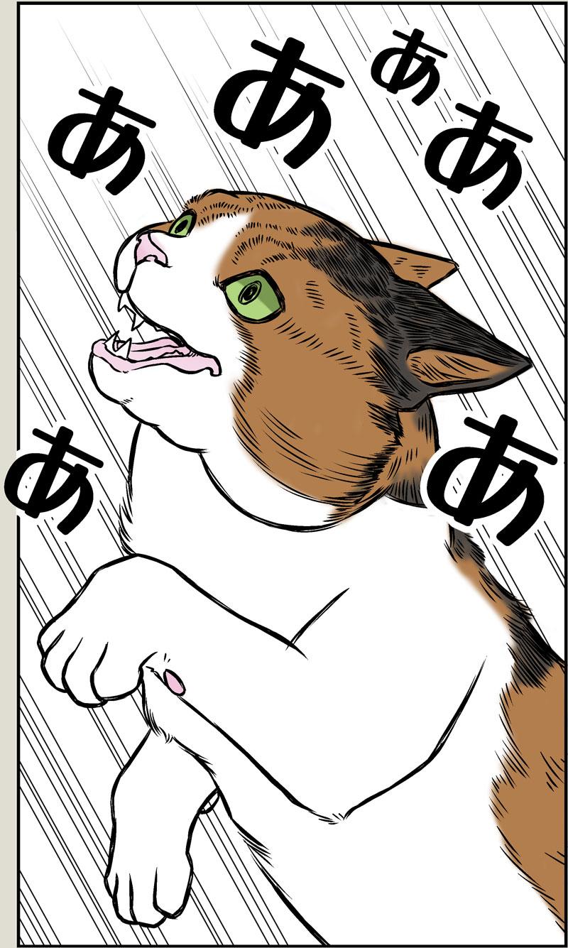 小春の癖 前編