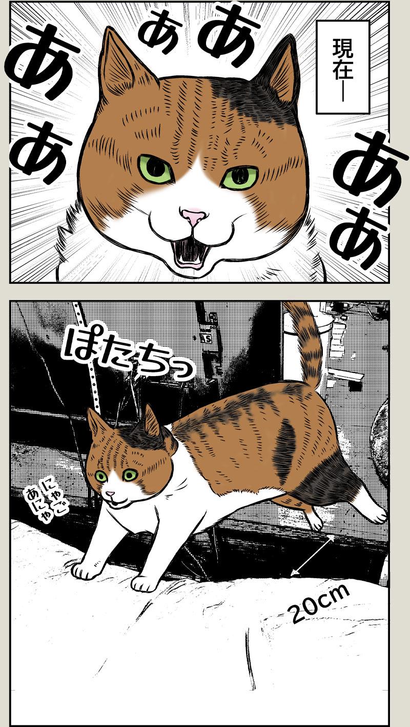 小春の癖 前編