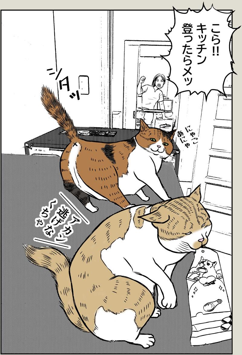 小春の癖 後編