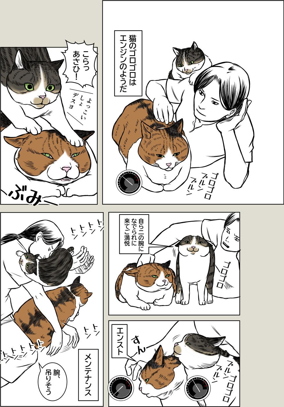 猫エンジン