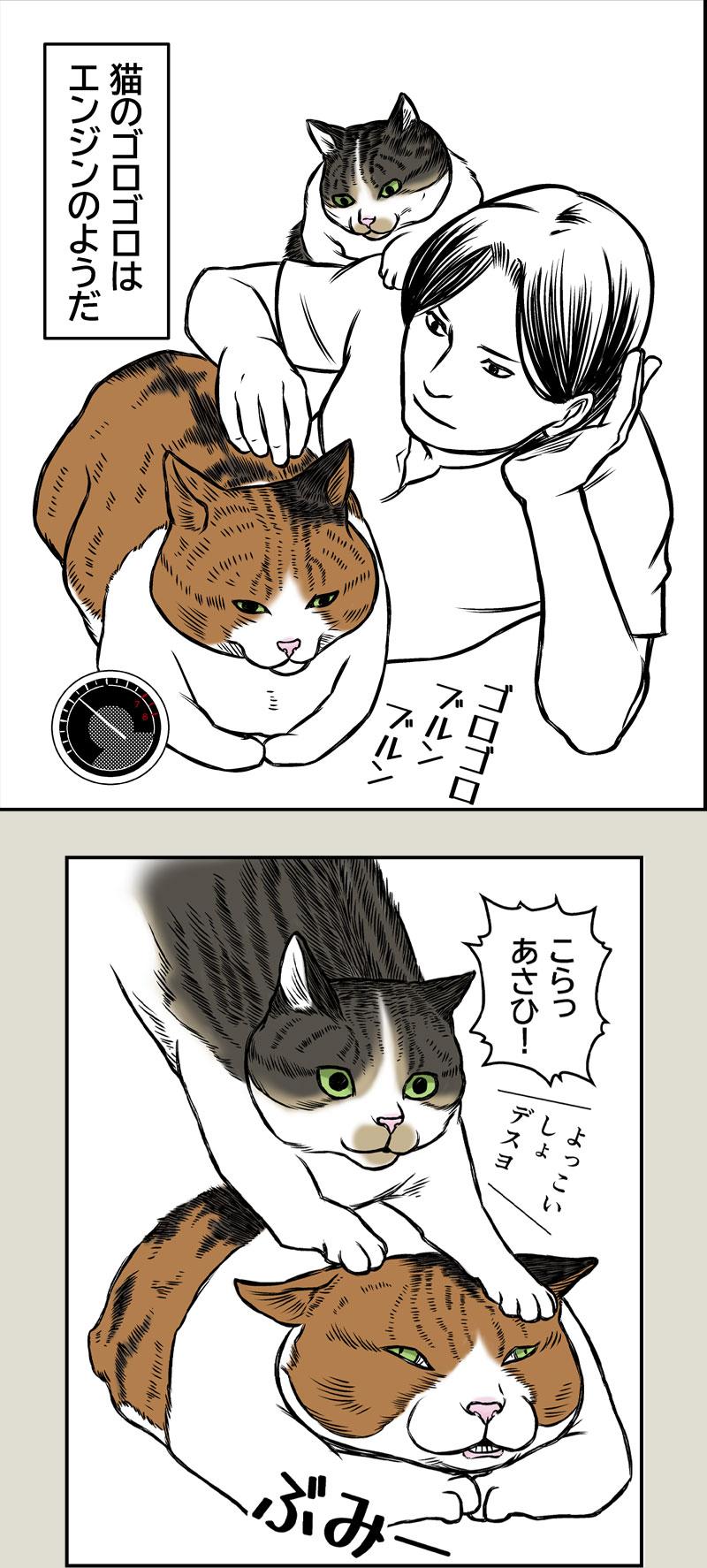 猫エンジン