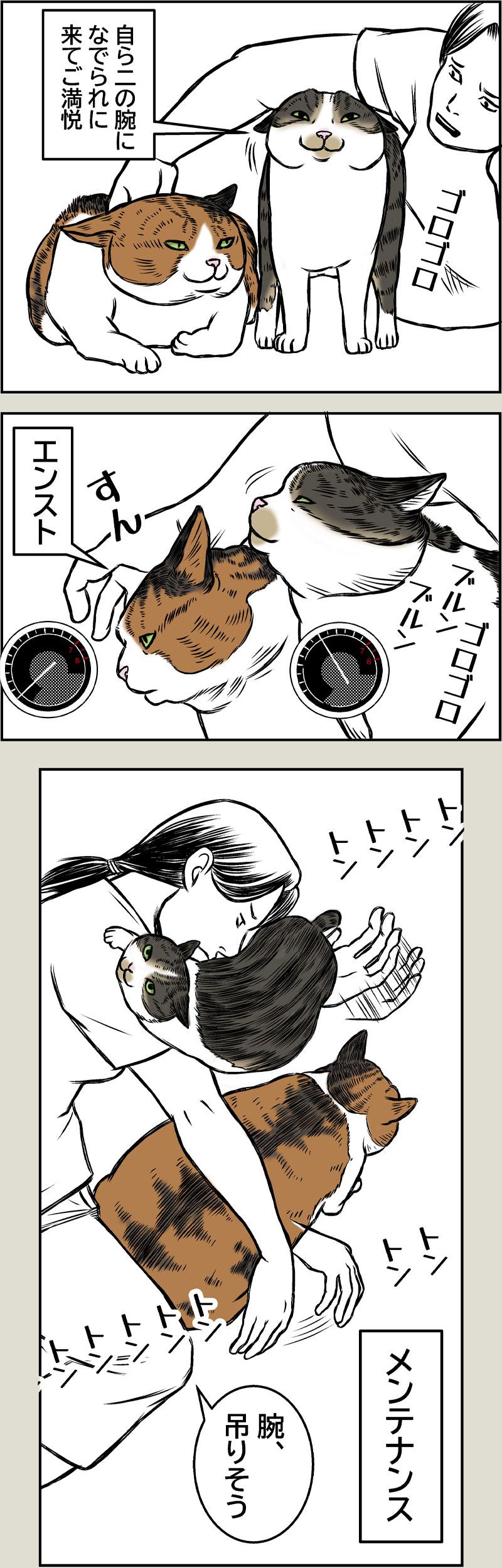 猫エンジン