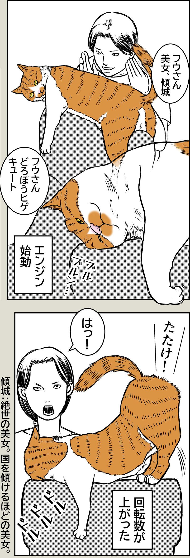 猫エンジン