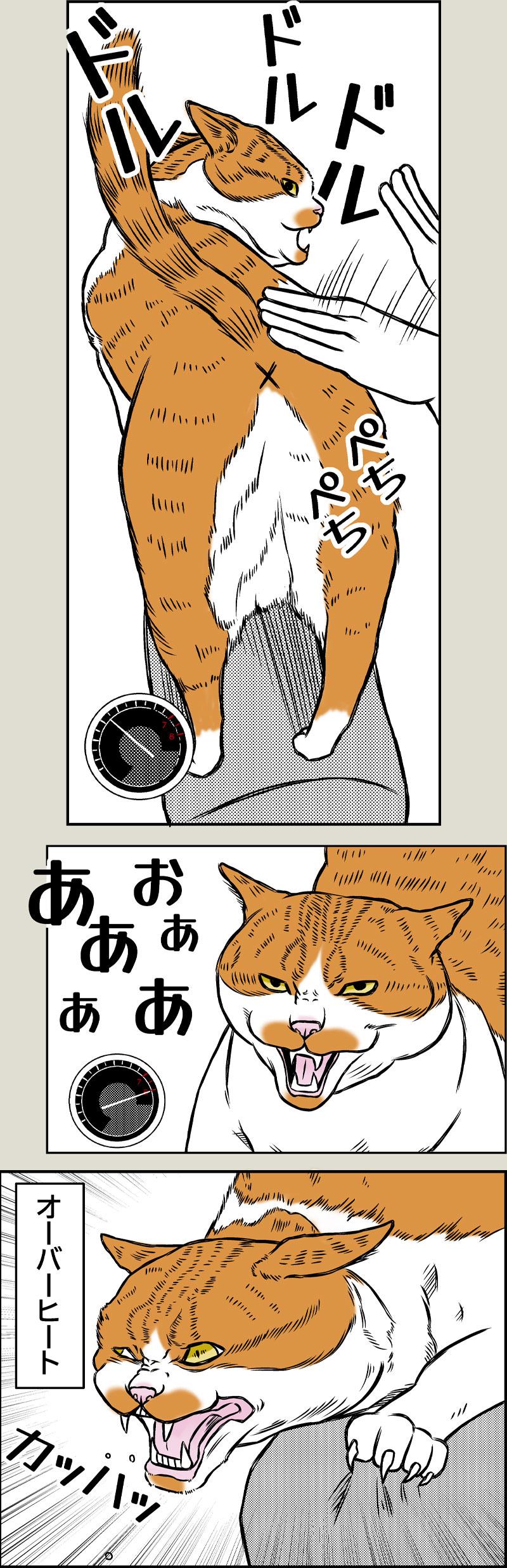 猫エンジン
