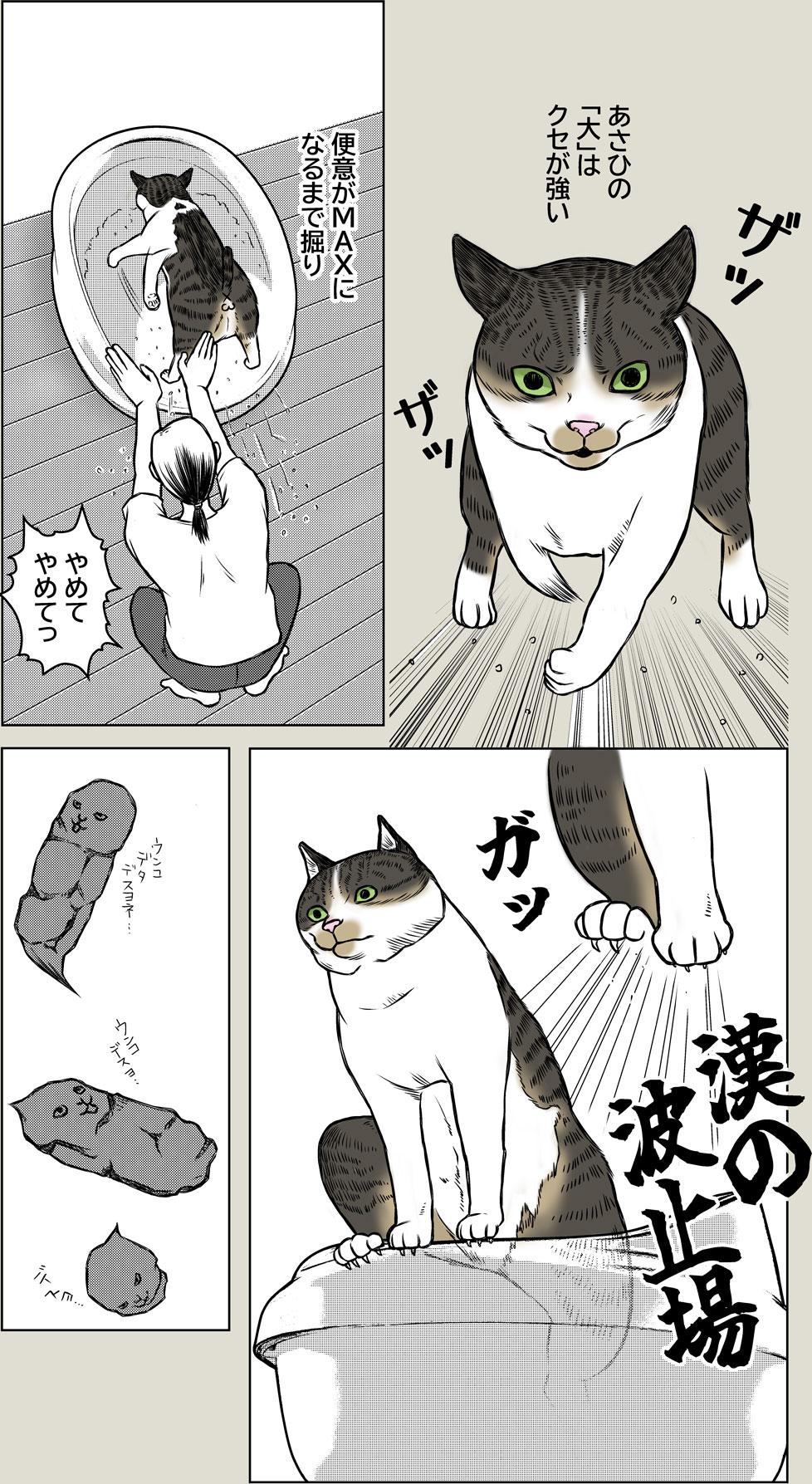 あさひの大