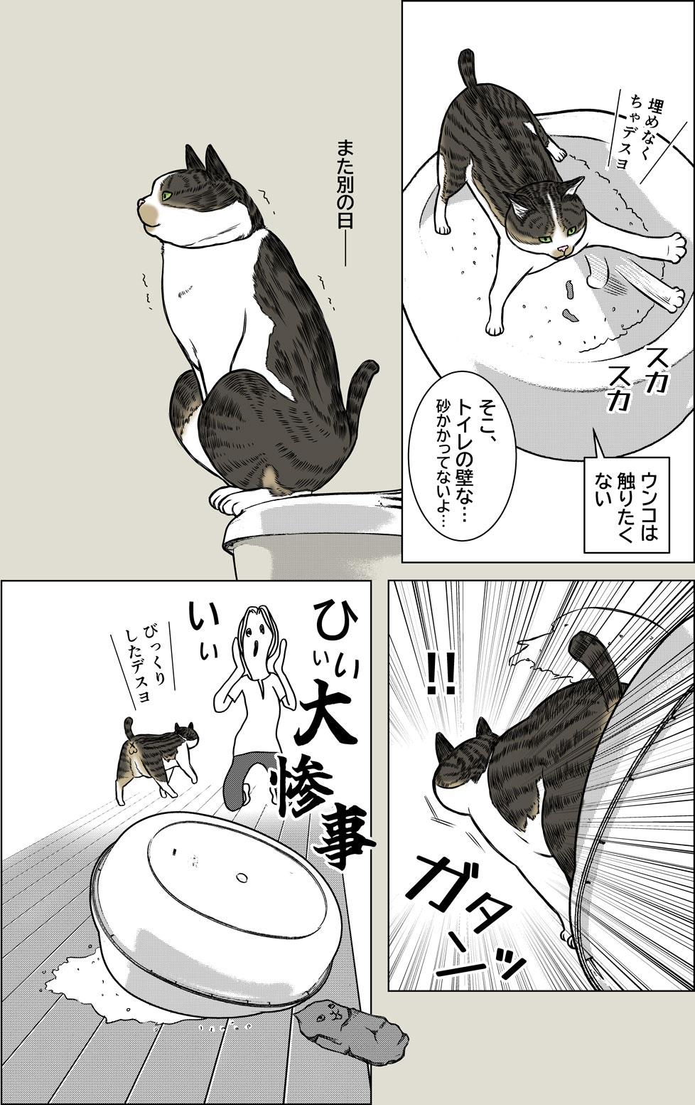 あさひの大