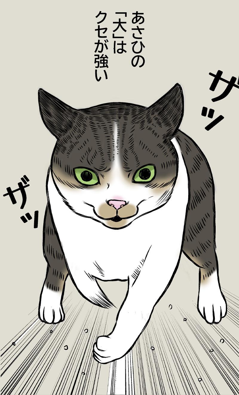 あさひの大