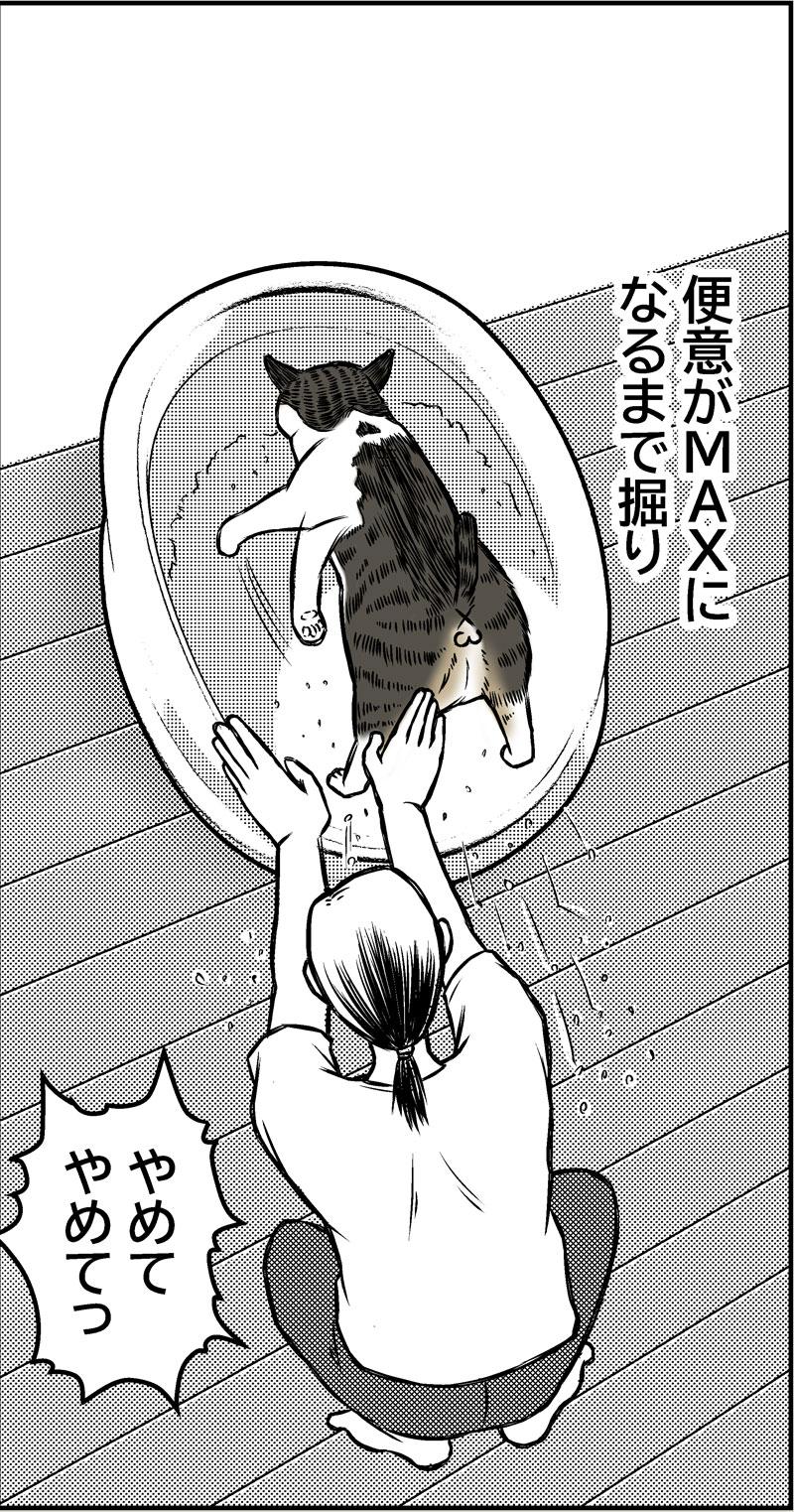 あさひの大