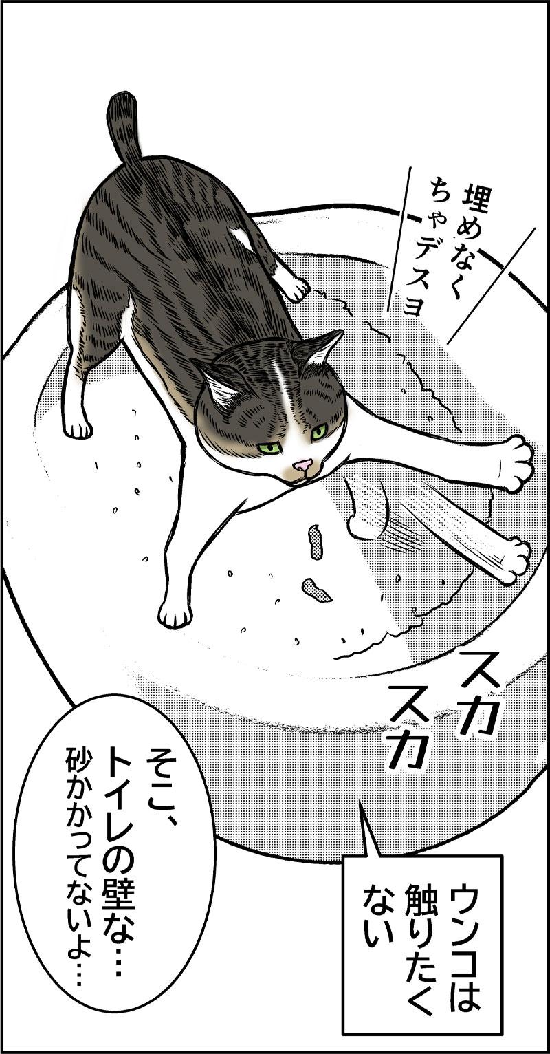 あさひの大