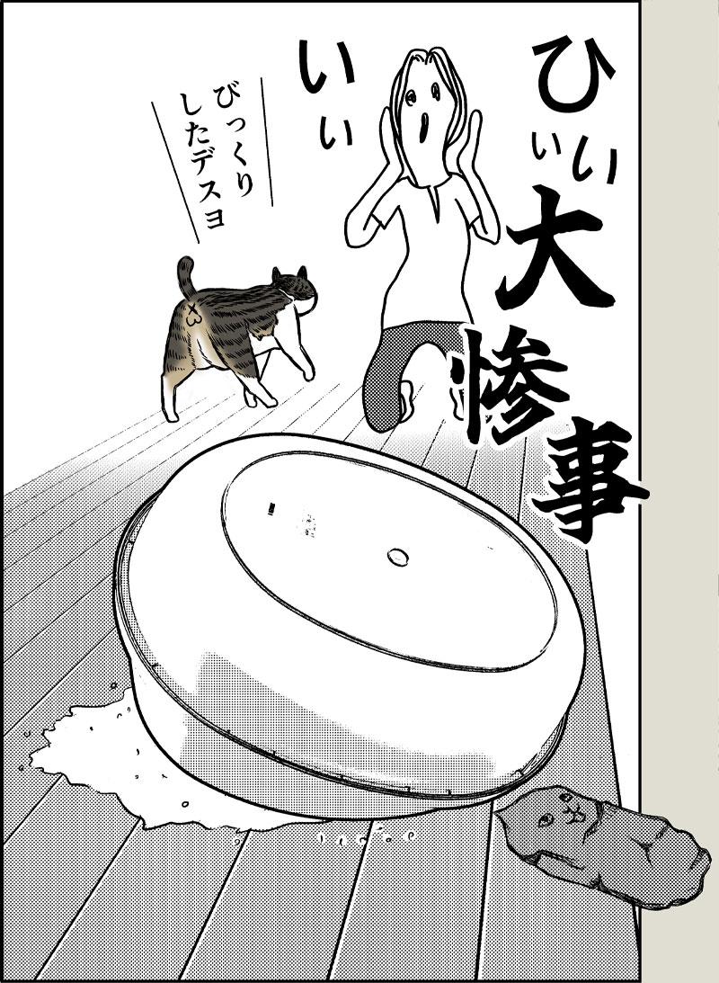 あさひの大