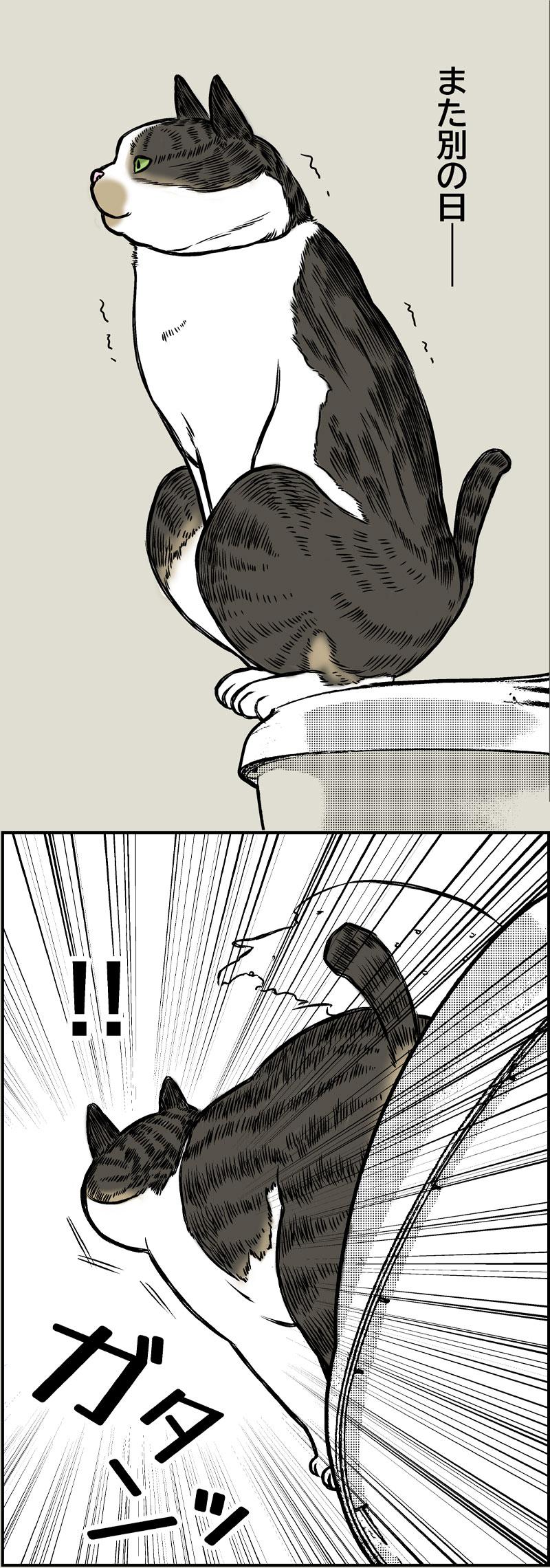 あさひの大