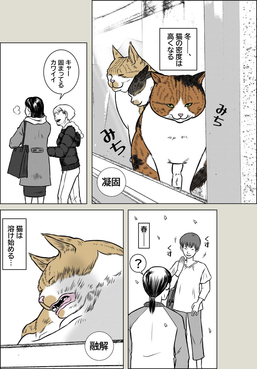 【猫科学】物質の三態