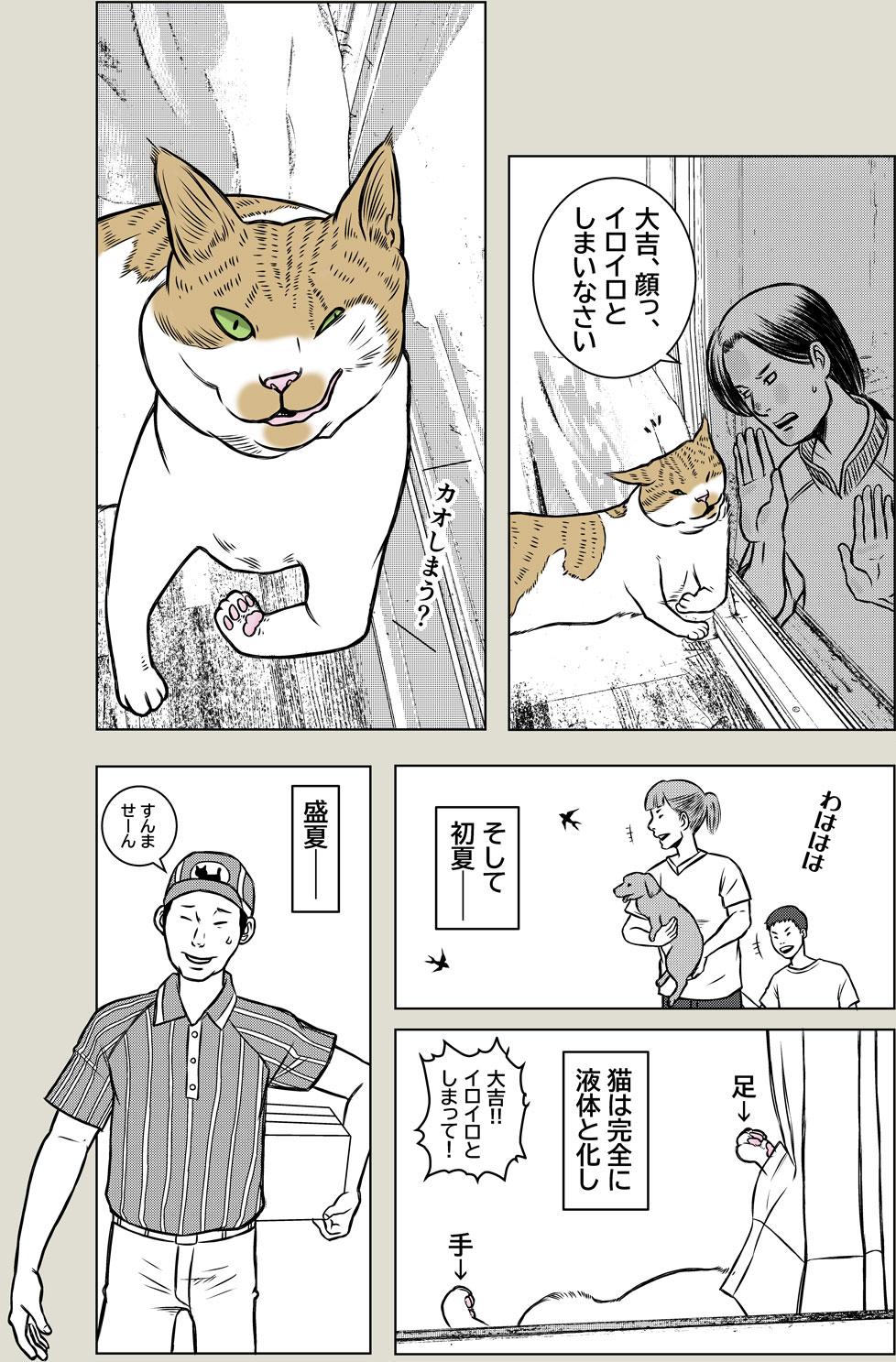【猫科学】物質の三態
