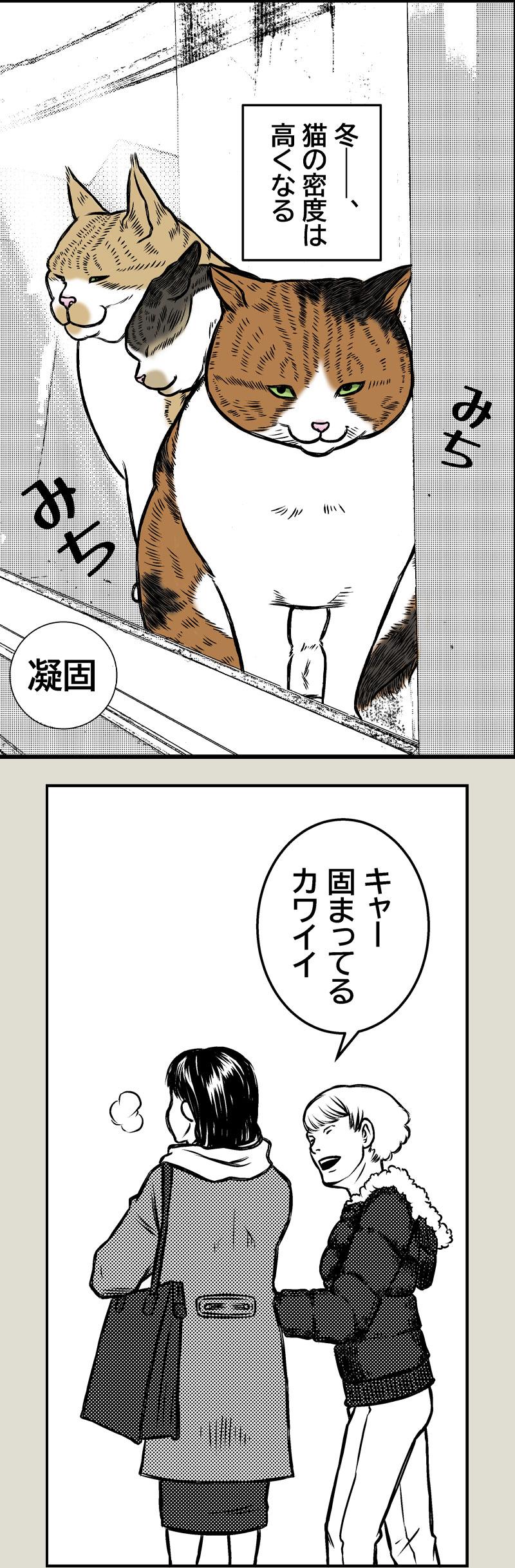 【猫科学】物質の三態