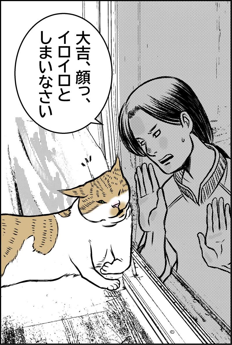 【猫科学】物質の三態