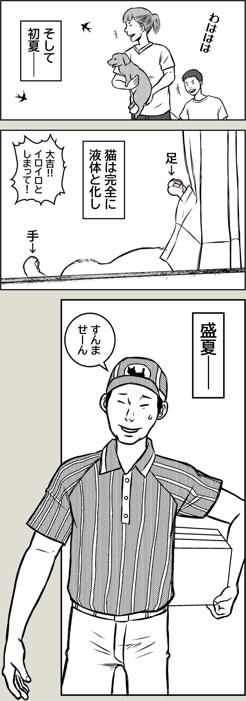 【猫科学】物質の三態