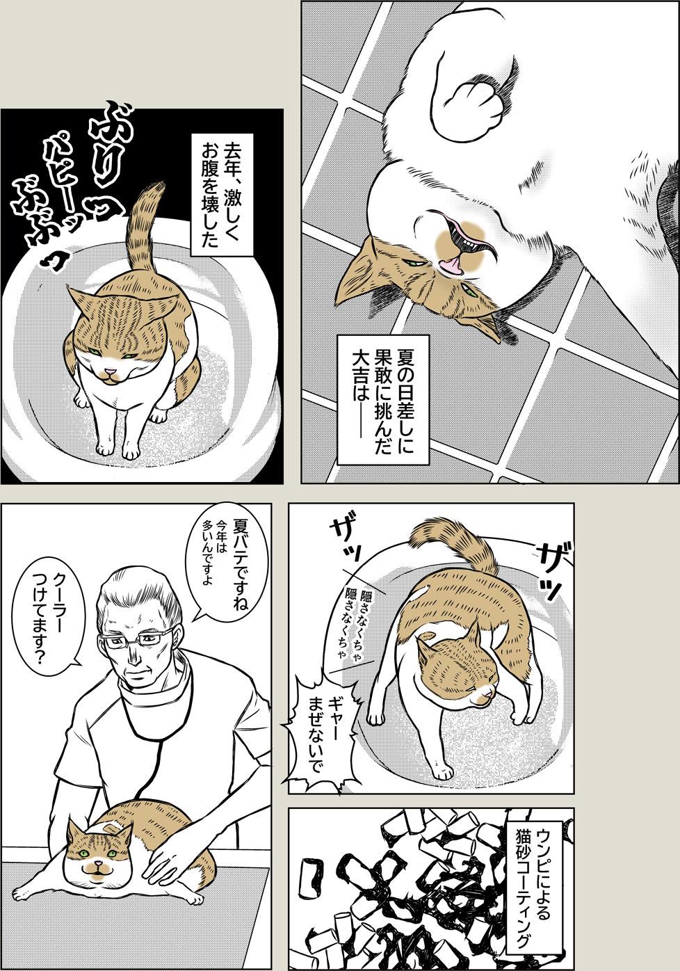 猫とクーラー